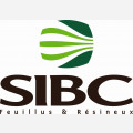 SIBC